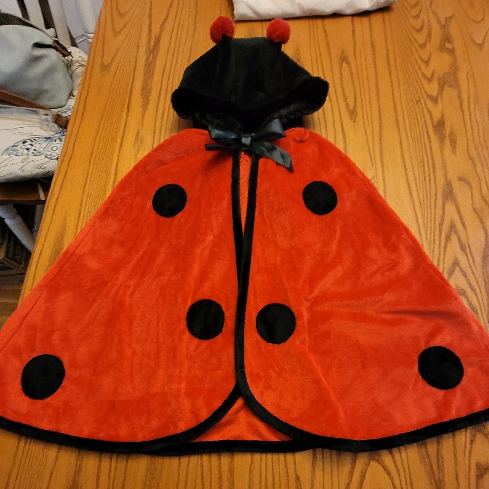 Halloween costume Lady Bug